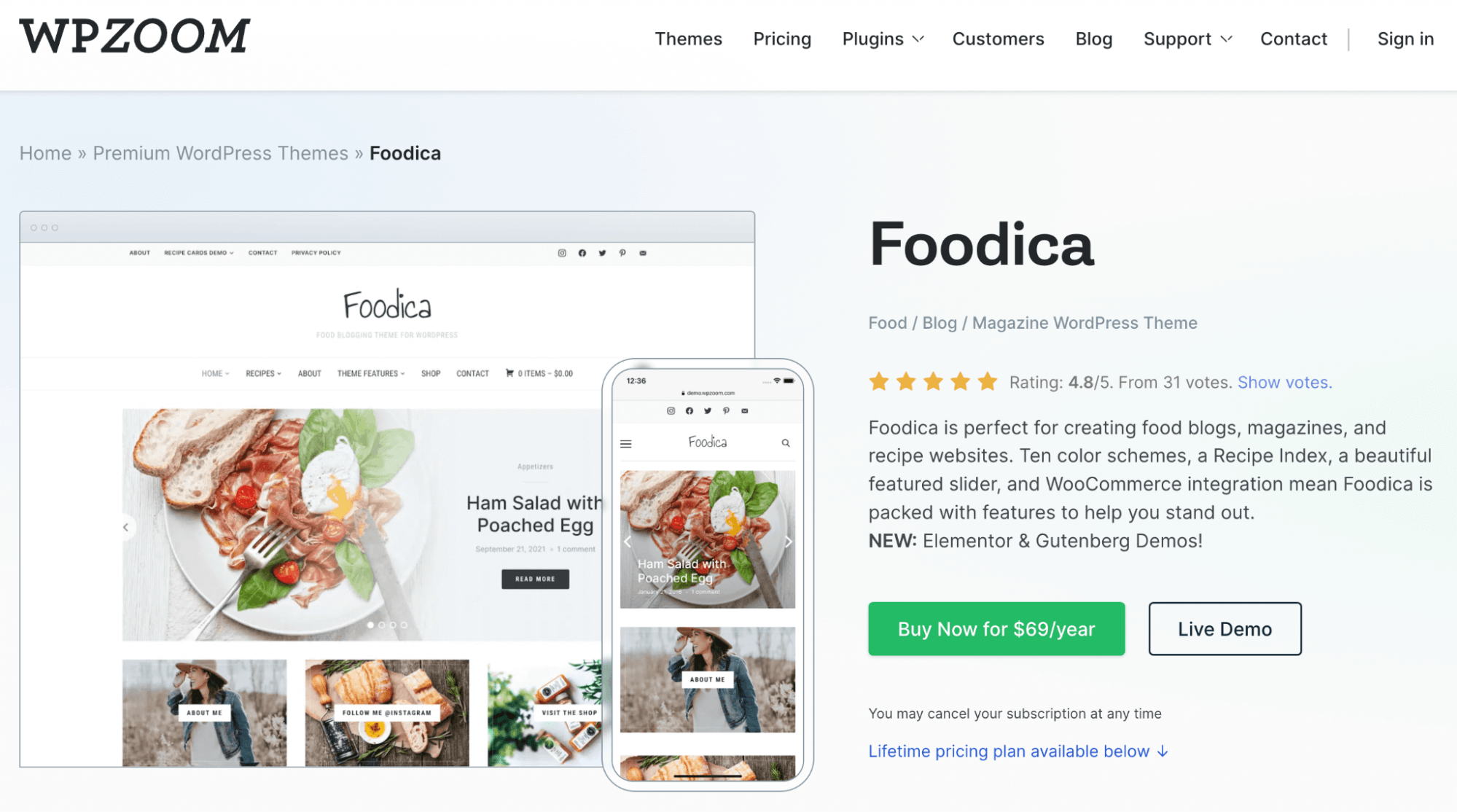 Foodica WordPress Theme