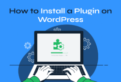 How to Install a Plugin in WordPress