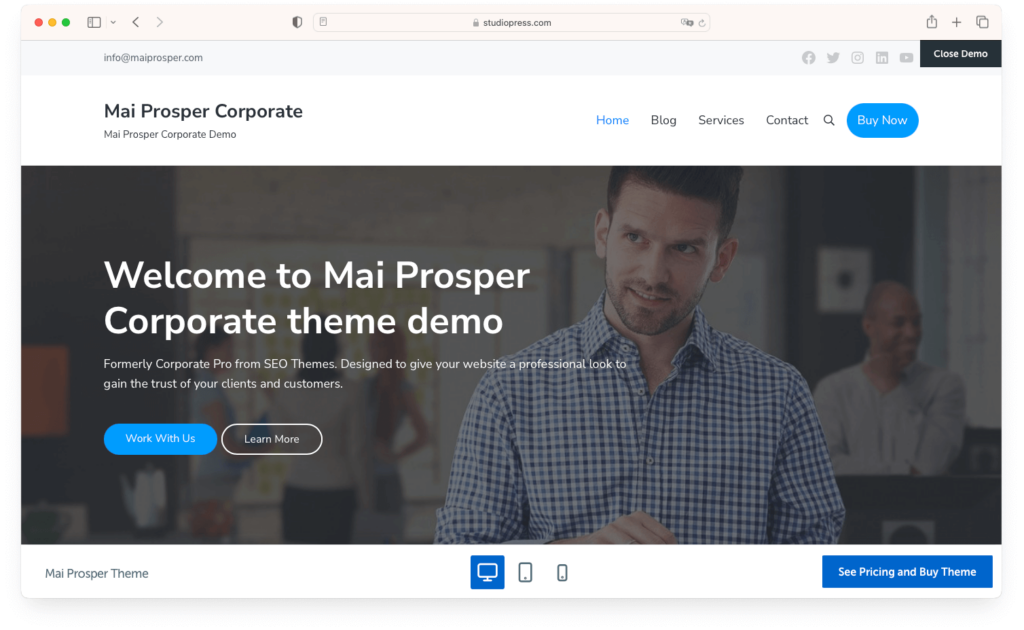 Mai Prosper business theme