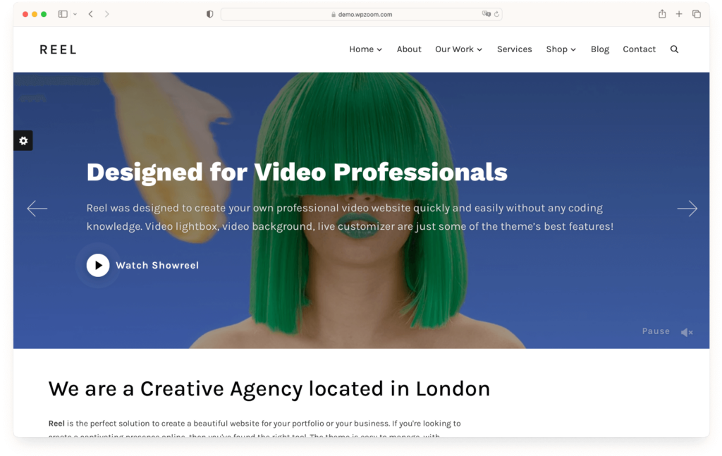 Reel WordPress video theme