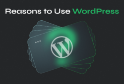 Why Use WordPress