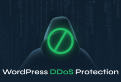 WordPress DDoS Protection