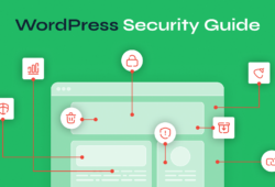 WordPress Security