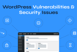 WordPress Security Issues